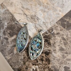 Abalone Shell Teardrop Dangle Earrings - Iridescent Blue-Green